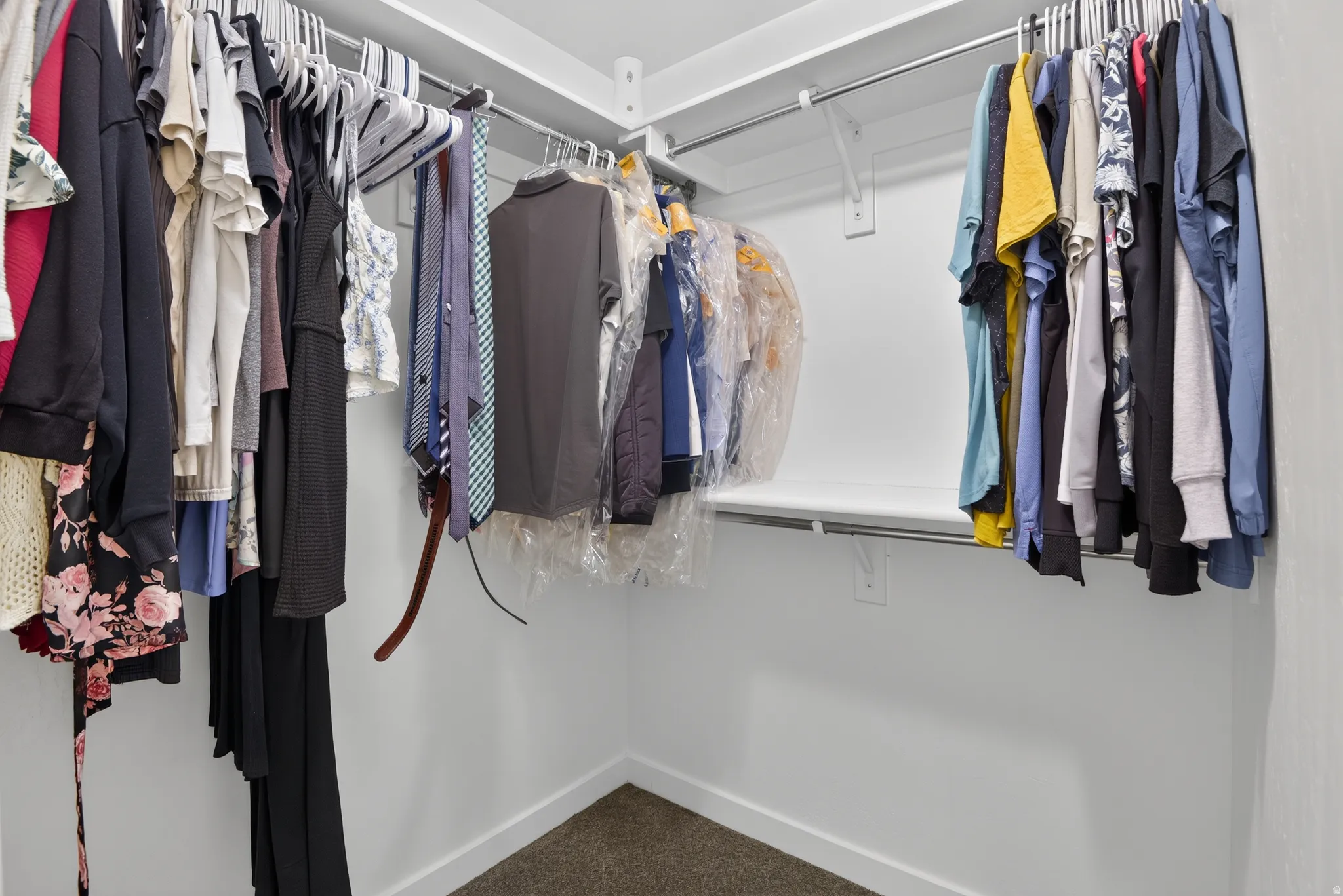 Walk-in closet featuring white walls, white trim, and a carpeted floor