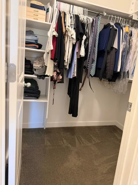 Walk-in closet featuring built-in shelving, white walls, white trim, and neutral carpeting