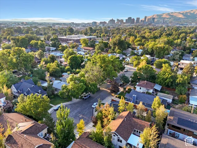 Bird's eye view of skyline and a mountainous background