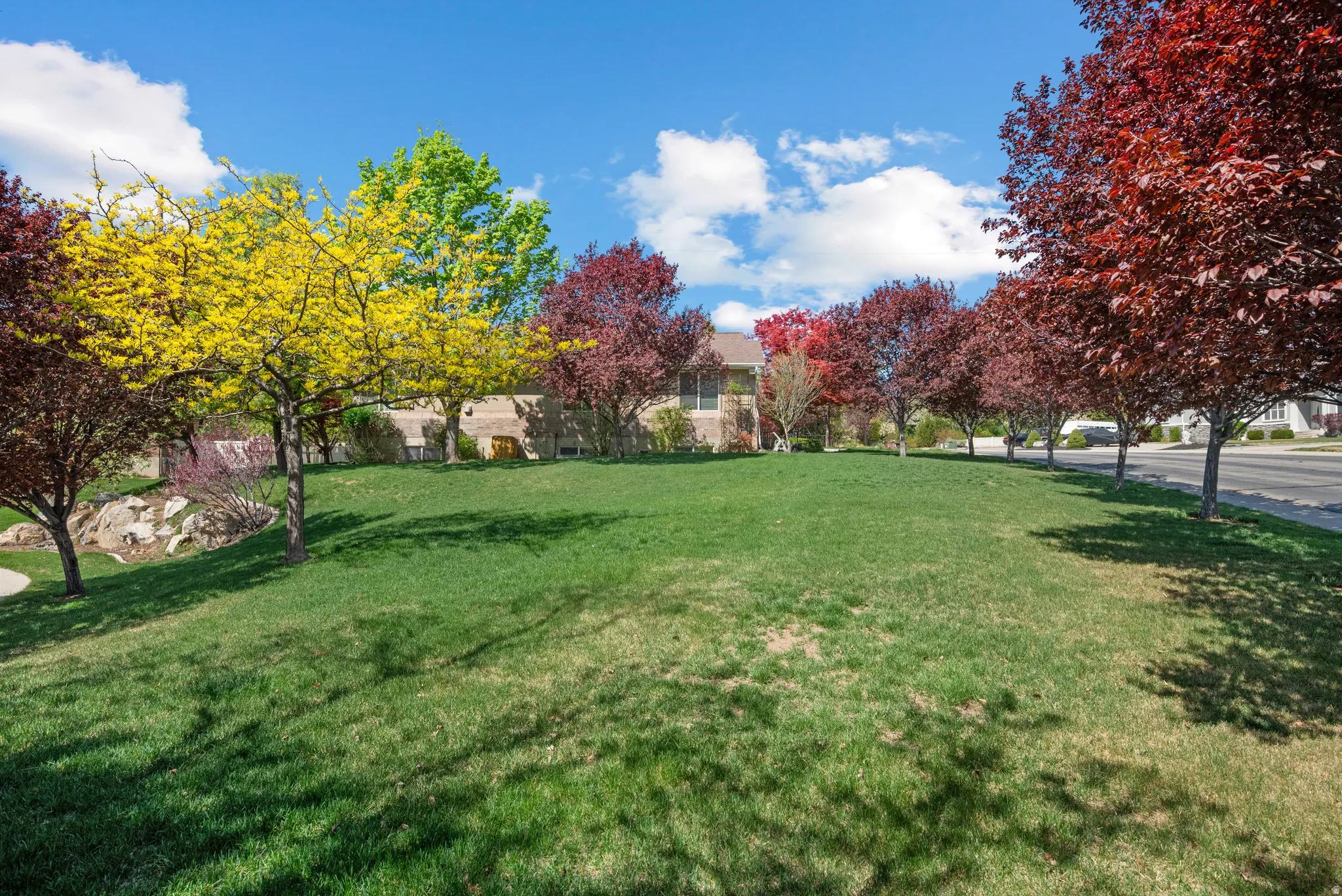 parklike side yard with mature trees