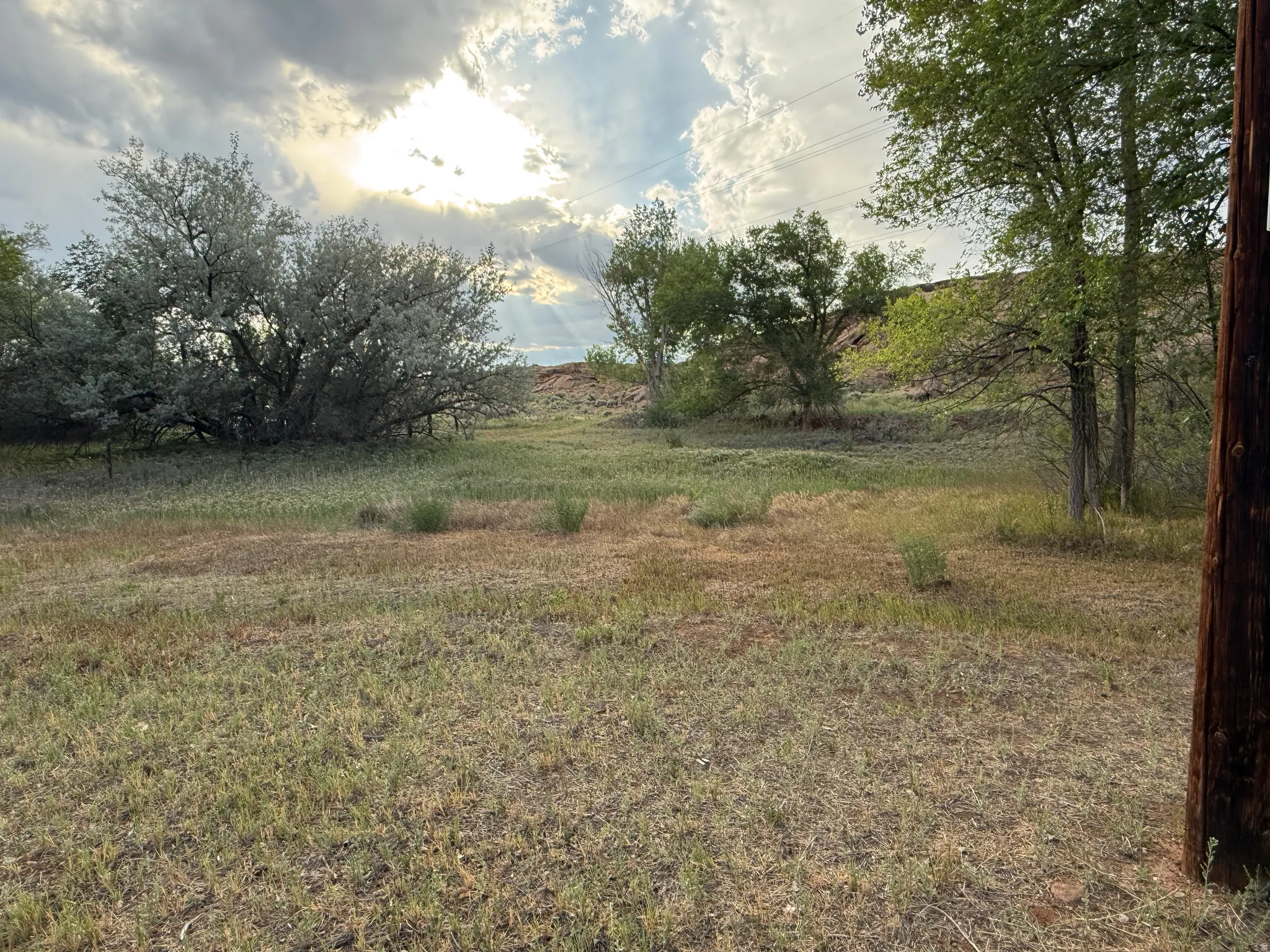 Expansive open lot featuring natural landscaping