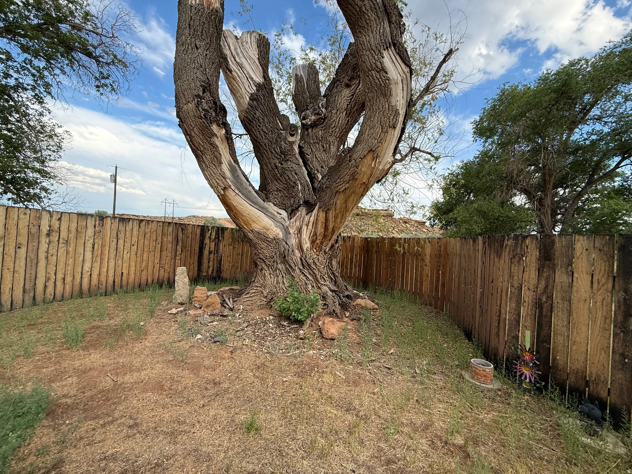 Expansive yard featuring a mature tree with a substantial trunk and weathered branches, complemented by a rustic wood privacy fence