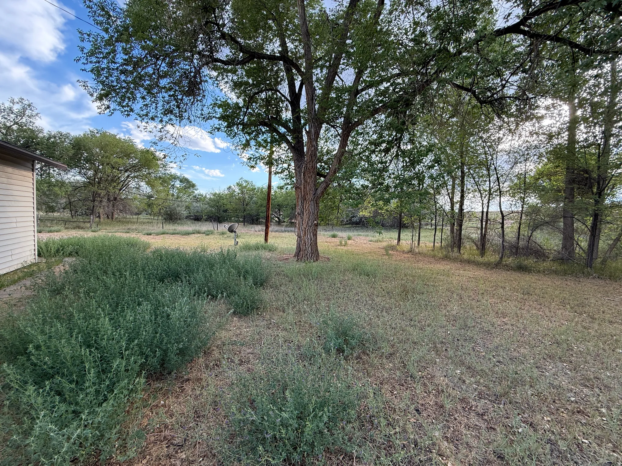 Expansive outdoor area featuring mature trees and natural vegetation