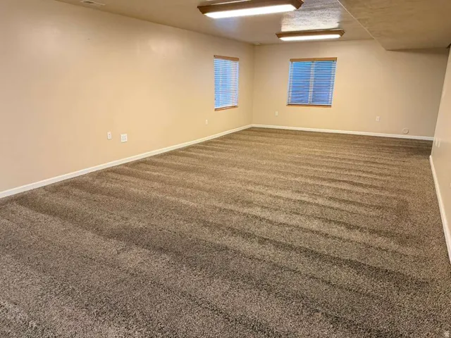 Expansive room featuring neutral-toned walls, plush carpet flooring, two windows with blinds, and flush-mounted ceiling lighting