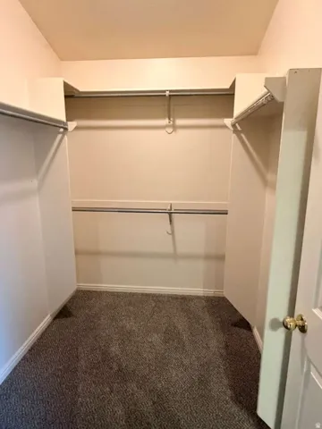 Walk-in closet featuring plush gray carpeting, white baseboards, and multiple hanging rods for organization