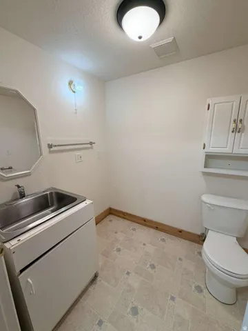 Utility room featuring patterned vinyl flooring, a white toilet, and a stainless steel sink with white cabinetry