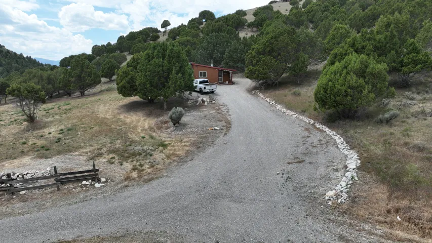 Gravel driveway leading to a secluded residence nestled into a hillside, surrounded by mature evergreen trees and natural landscaping