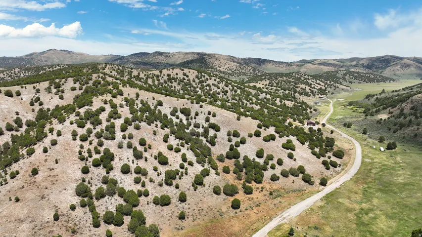 Expansive undeveloped land featuring rolling hills, scattered natural foliage, a winding unpaved road, and distant mountain ranges