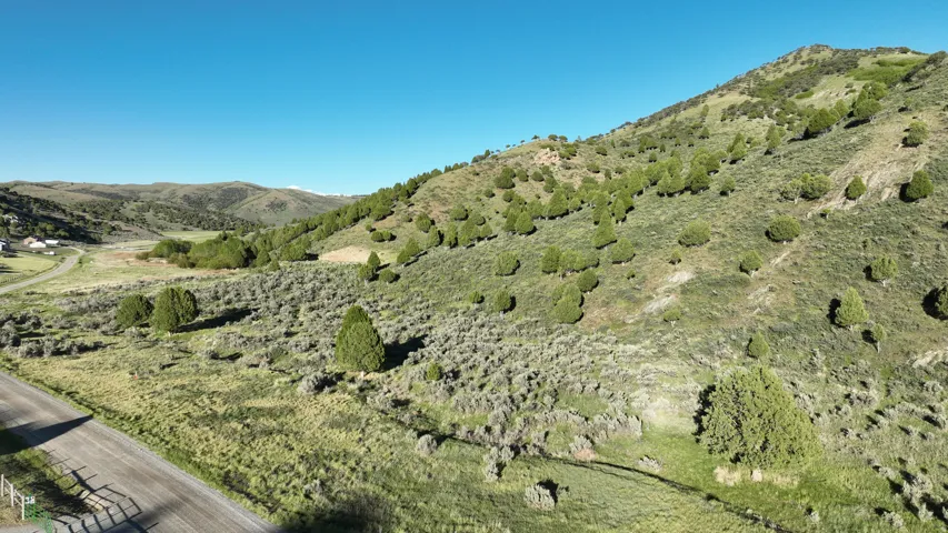 Expansive natural landscape featuring rolling hills and abundant green foliage