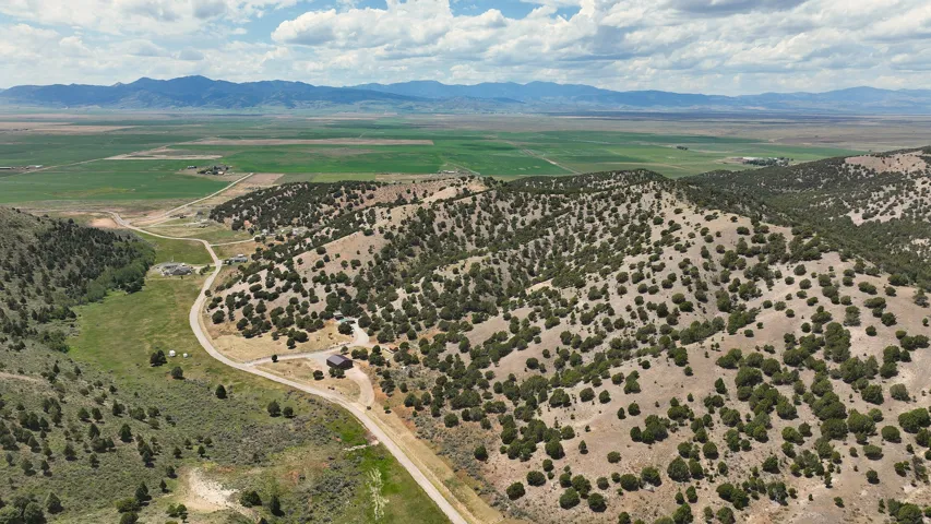 Expansive terrain featuring a winding unpaved road, scattered evergreen trees, and distant agricultural fields