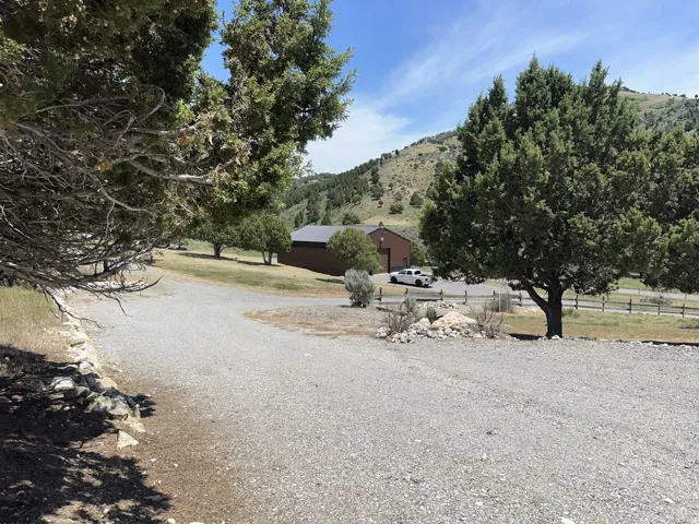 Expansive gravel driveway leading to a brown-sided structure with a dark roof, surrounded by mature evergreen trees and natural landscaping