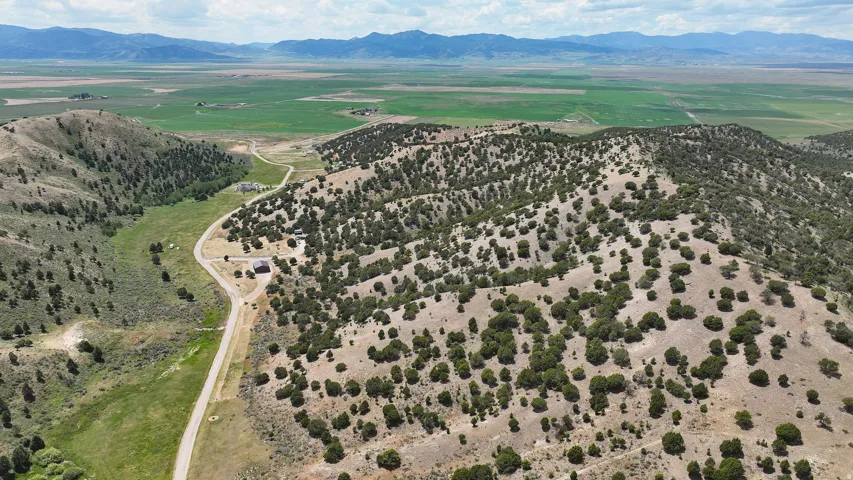Expansive rural landscape featuring a winding road, scattered evergreen trees, and distant mountain ranges