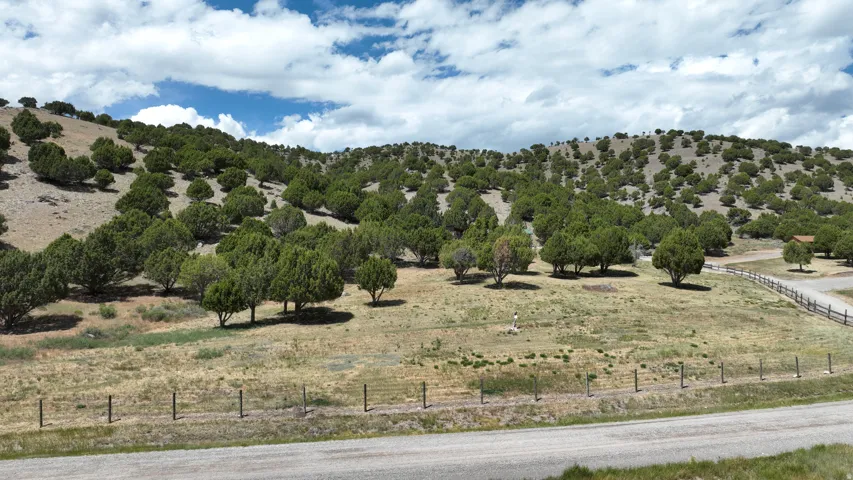Expansive hillside property featuring diverse tree coverage and a partially visible gravel road