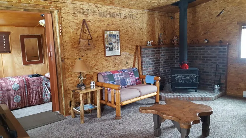 Living area featuring wood paneling, a brick-surround wood-burning stove with a metal flue, and carpeting