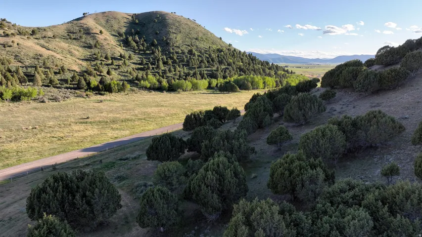 Expansive natural landscape featuring rolling hills and abundant evergreen trees