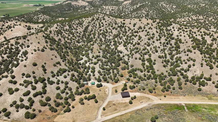 Extensive acreage featuring natural desert vegetation and rolling hills