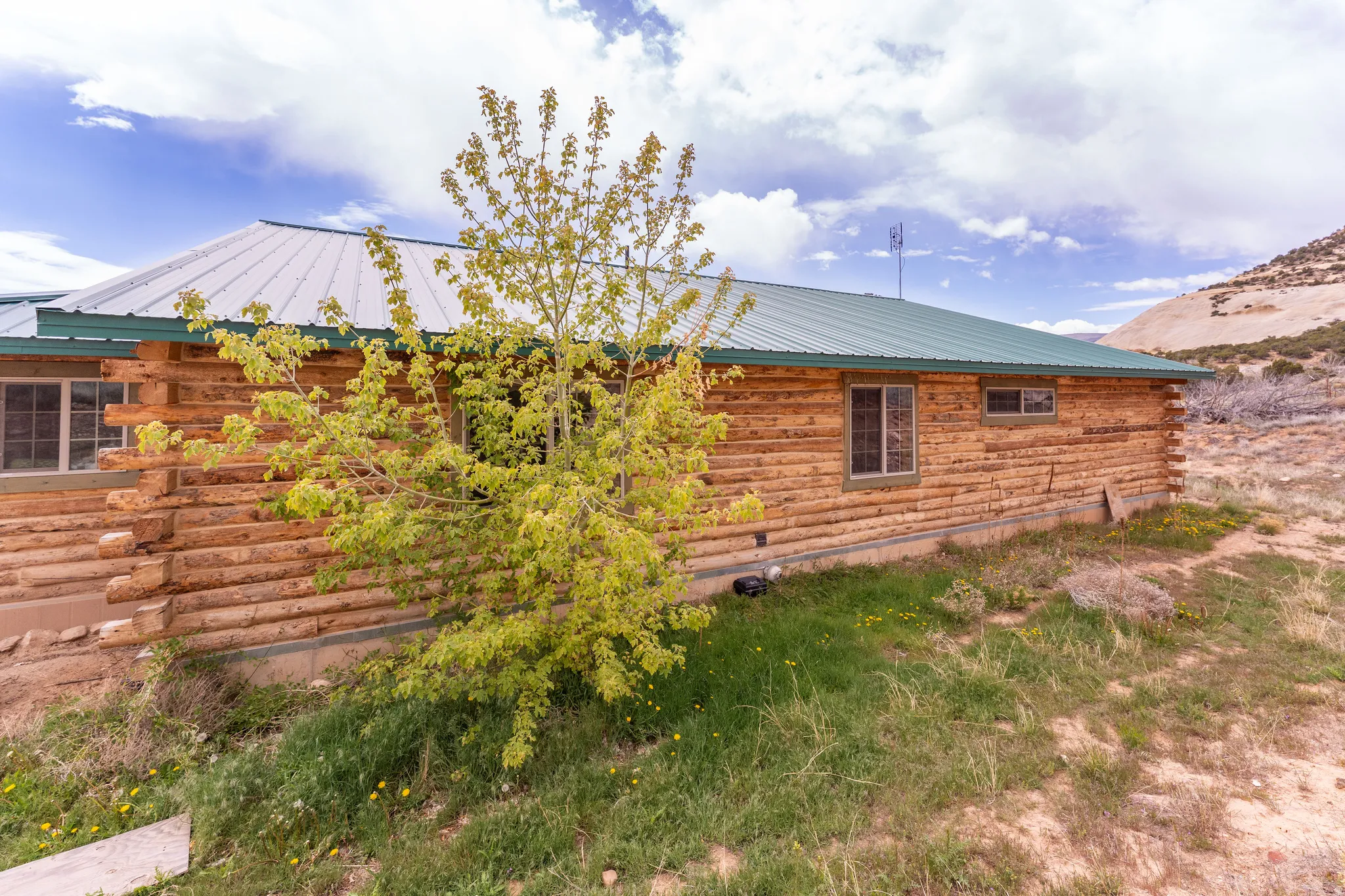 Log cabin exterior featuring a green metal roof, multiple windows, and a surrounding natural landscape