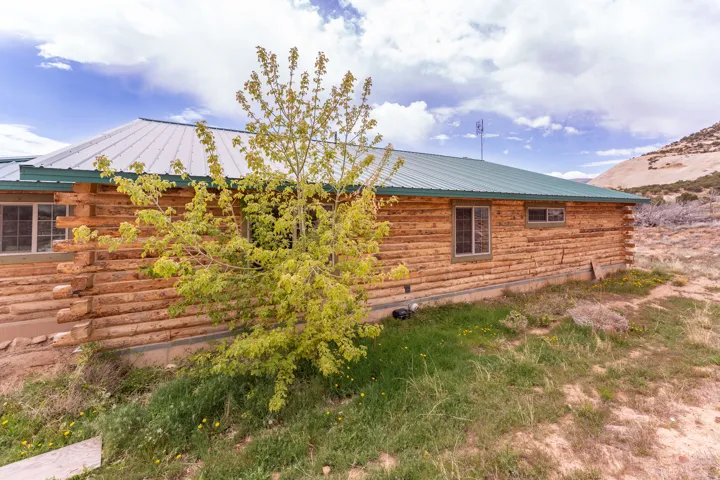 Log cabin exterior featuring a green metal roof, multiple windows, and a surrounding natural landscape