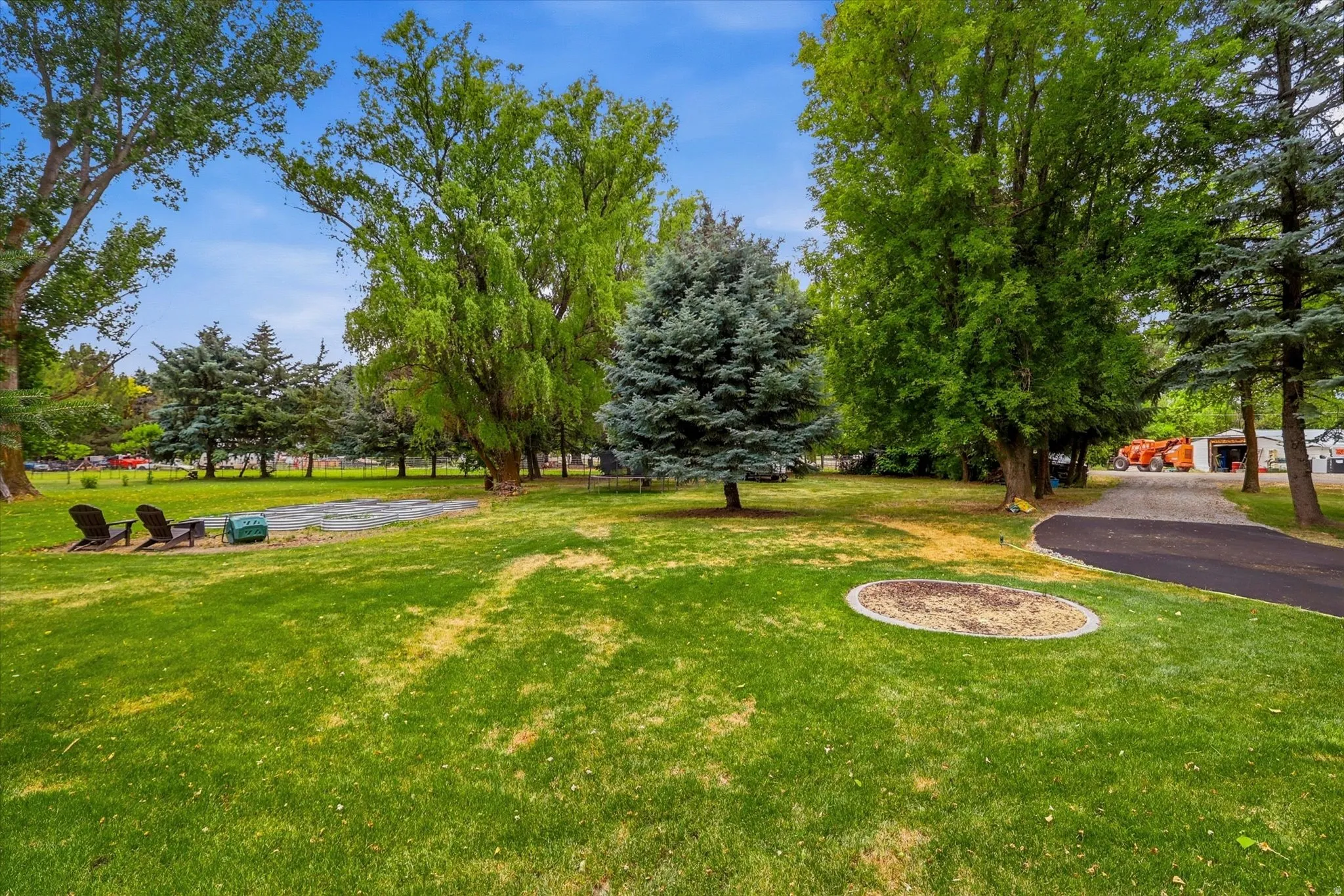 Expansive lawn area featuring mature trees and a paved driveway