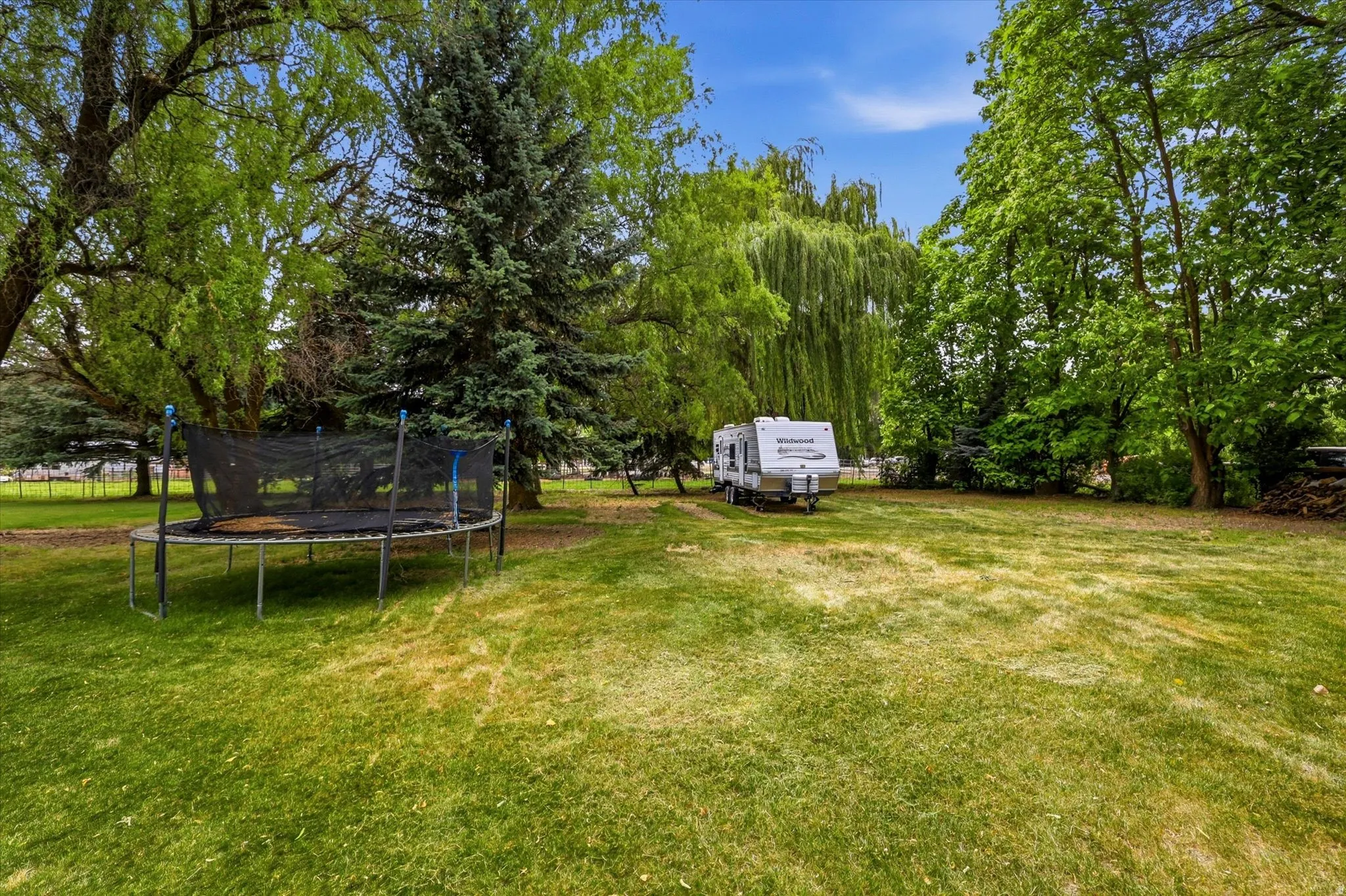 Expansive grassy yard area with mature trees and perimeter foliage
