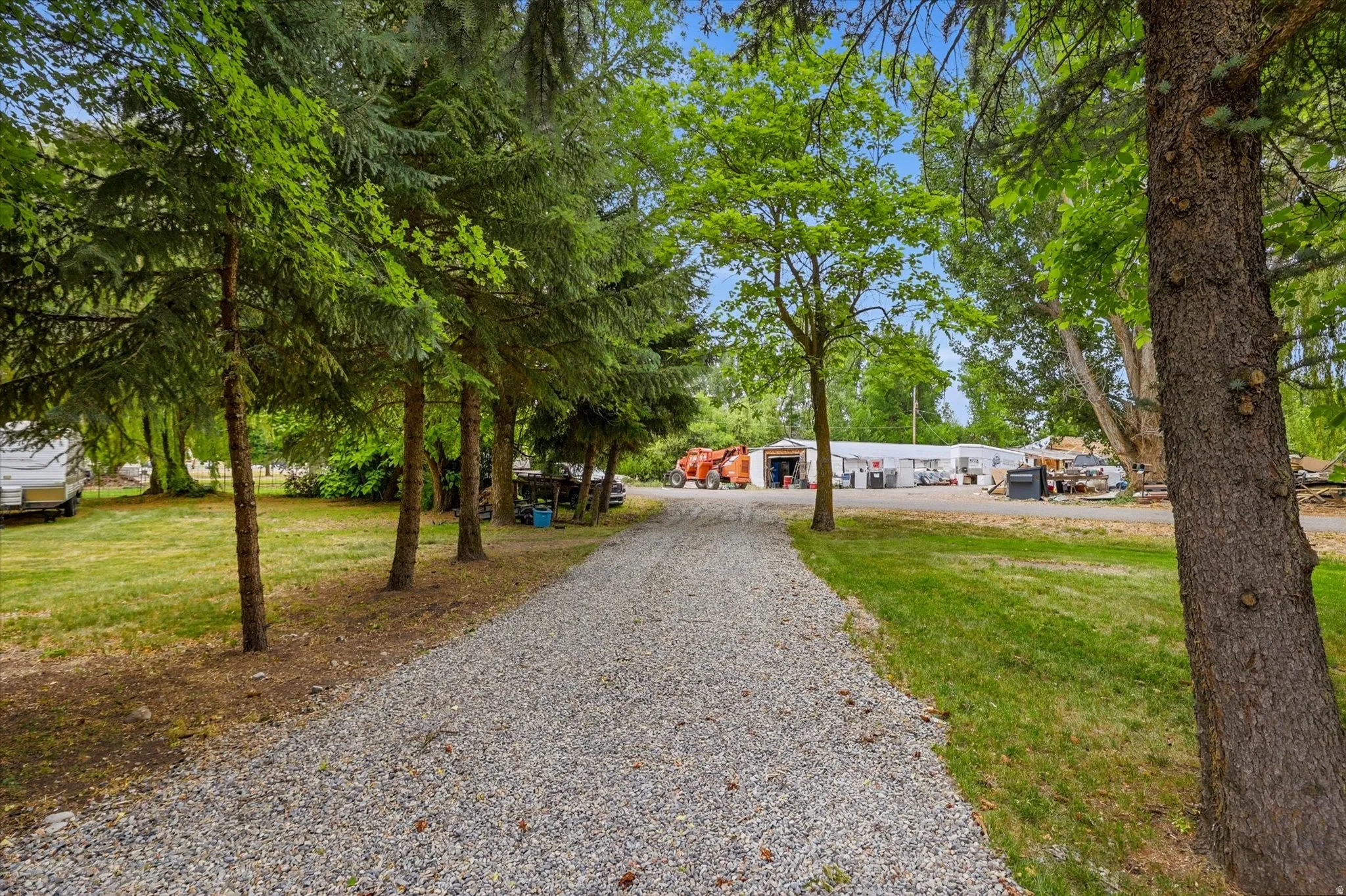 Gravel driveway bordered by mature trees and manicured lawn