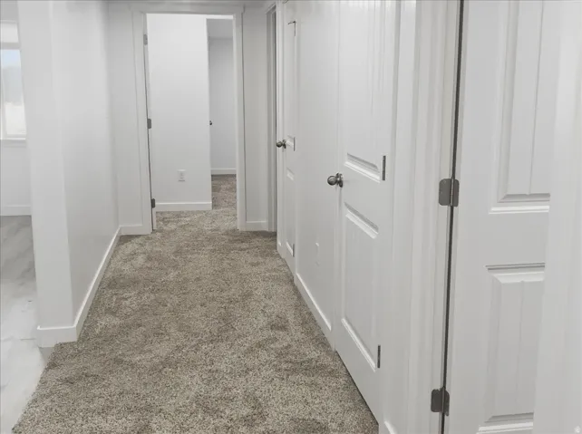 Hallway featuring neutral-toned carpeting, white paneled doors, and white trim