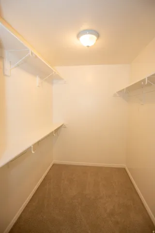 Master walk-in closet with beige carpeting, white wire shelving, and a flush-mount ceiling light fixture