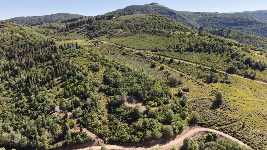 Expansive, undulating terrain featuring mature trees and verdant foliage