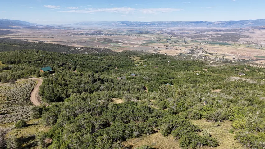 Expansive wooded property featuring a single-family residence with a green metal roof, a winding dirt road, and broad mountain scenery