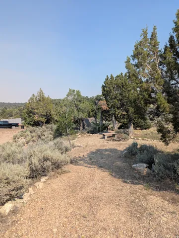 Gravel ground cover with mature trees, established sagebrush, and natural stone accents