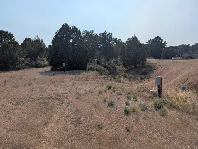 Expansive land parcel featuring natural topography, mature trees, and existing utility infrastructure including two electrical boxes