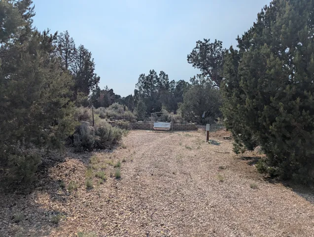 Gravel drive with mature evergreen plantings and natural sagebrush landscaping