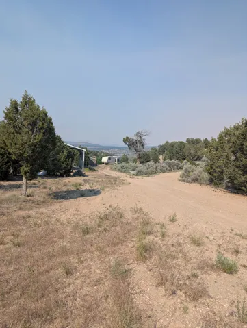 Expansive undeveloped property featuring a gravel road, mature trees, and natural vegetation