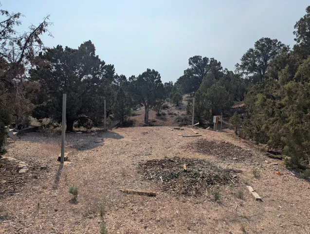 Terraced land parcel with scattered evergreen trees, including mature specimens