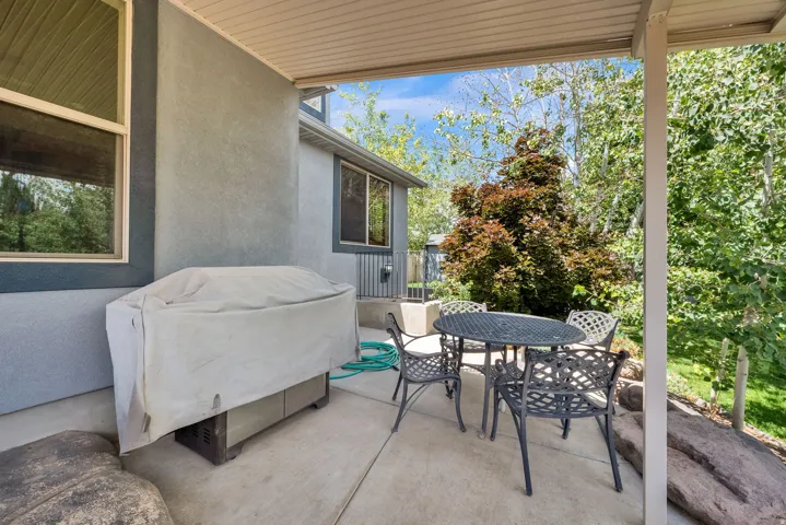 Patio terrace