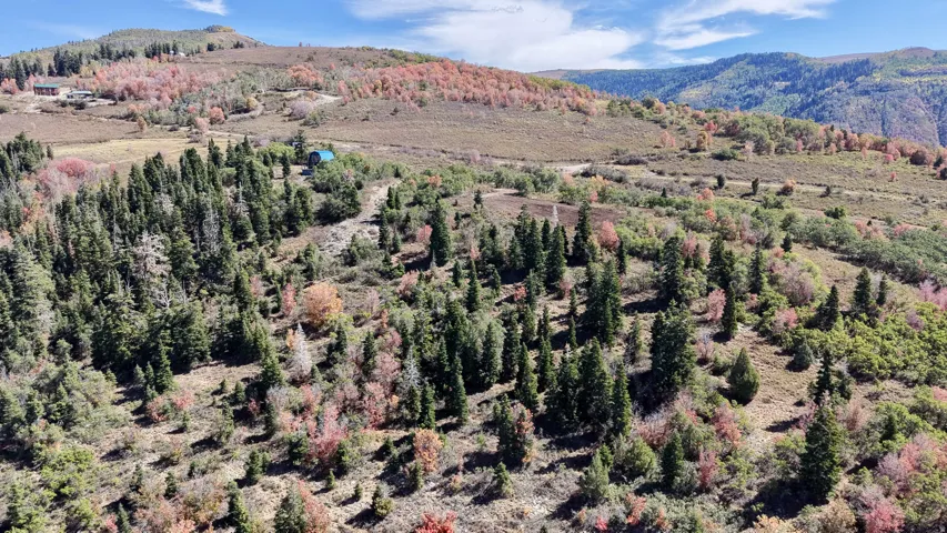 Expansive mountainous terrain with varied tree coverage, including evergreens and deciduous trees displaying autumn colors