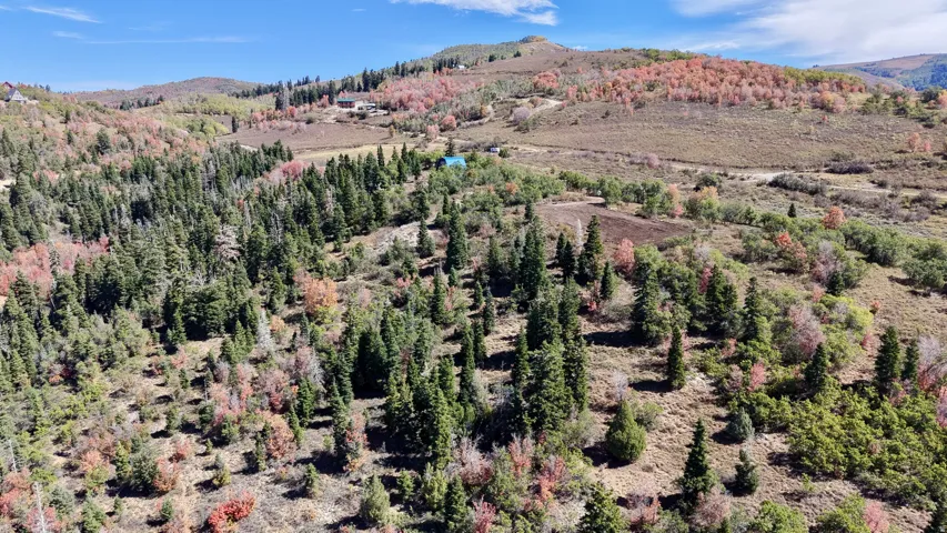 Expansive mountainous landscape featuring diverse foliage and a clear sky