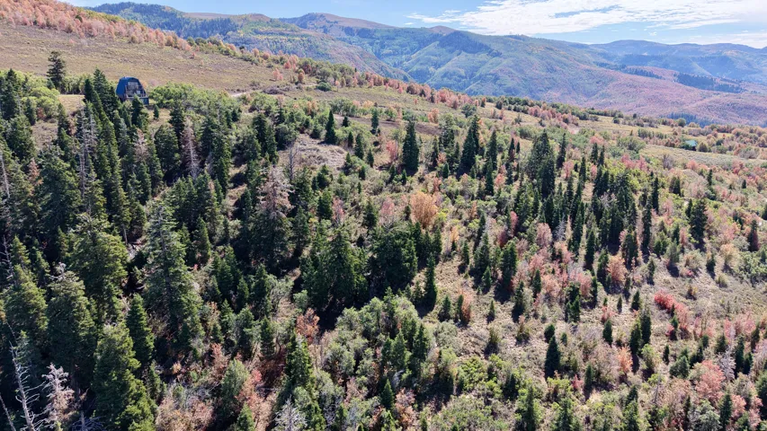 Expansive treed landscape featuring a single-story structure and distant mountainous terrain