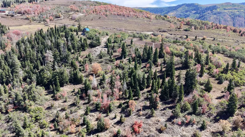 Wooded hillside property with varied tree coverage and distant mountains