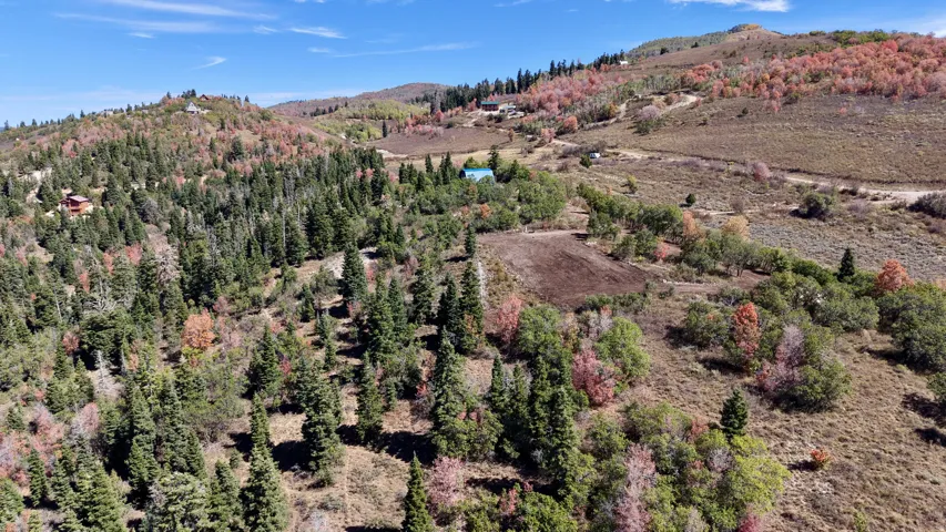 Expansive mountain property featuring mature evergreen trees and a varied landscape