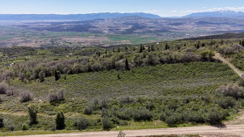 Expansive undeveloped land featuring diverse vegetation and scattered trees