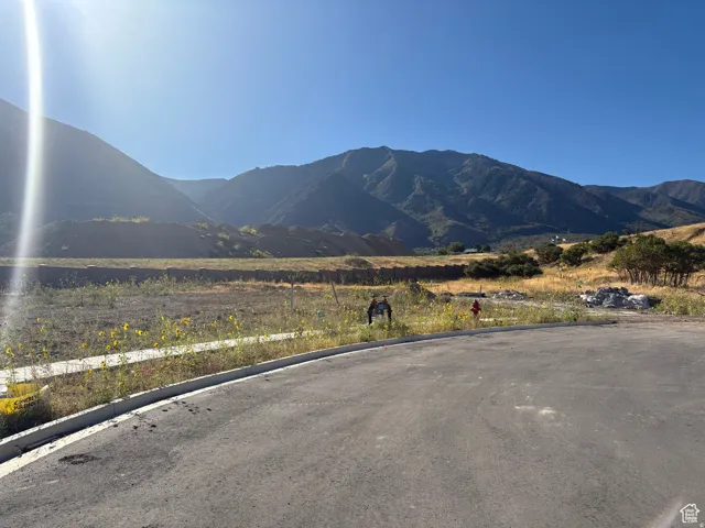 Paved road frontage with a concrete curb and gutter, presenting a raw land parcel