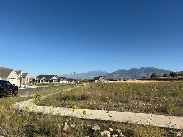 Expansive undeveloped lot featuring concrete sidewalk borders