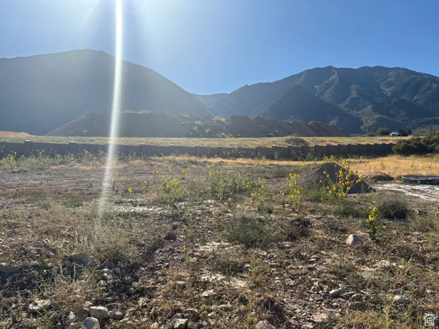 Expansive lot featuring a natural, undeveloped landscape with scattered vegetation, surrounded by distant mountains