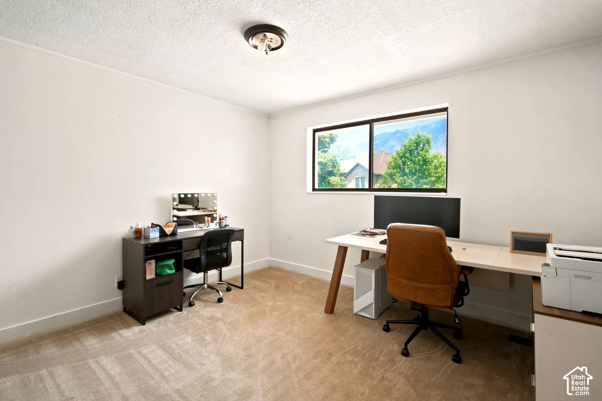 Bright room with neutral wall tones and carpet flooring