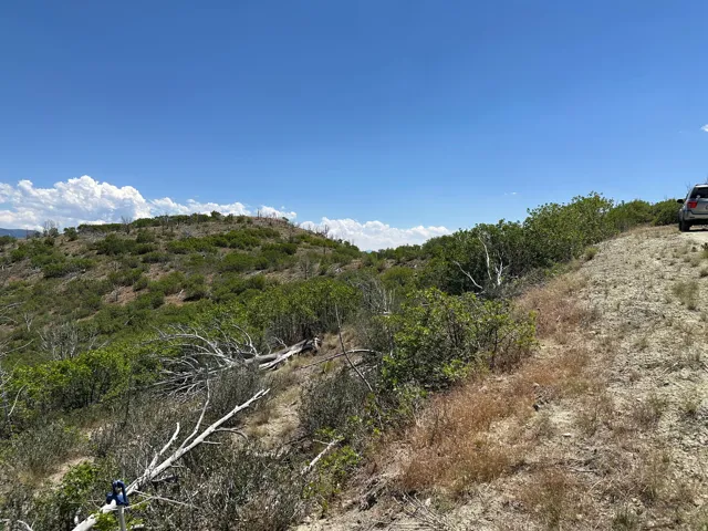 Expansive undeveloped land featuring natural terrain with varied vegetation