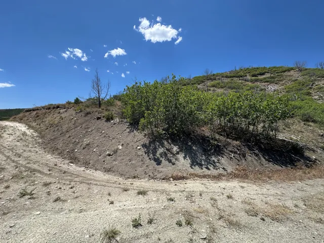 Hillside parcel featuring natural terrain and varied vegetation