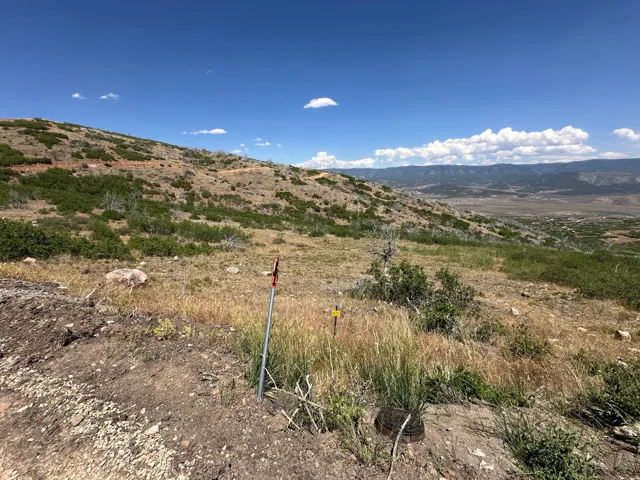 Expansive hillside parcel featuring natural vegetation and distant mountain ranges