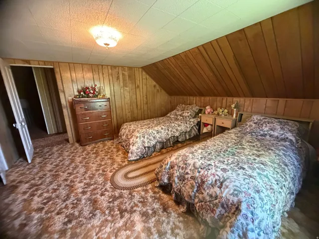 Wood paneling covers the walls and a portion of the ceiling in this room, featuring a textured carpet and a ceiling-mounted light fixture