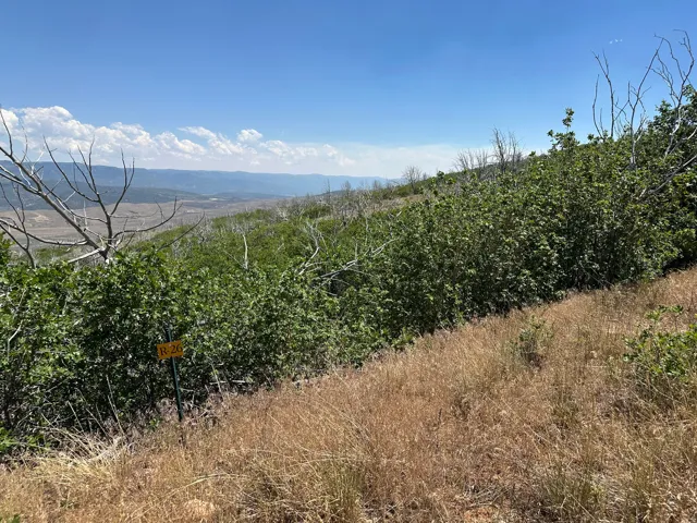 26 Indian Ridge Dr, Indianola, Utah 84629